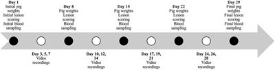 Effect of Varying Levels of Dietary Tryptophan on Aggression and Abnormal Behavior in Growing Pigs